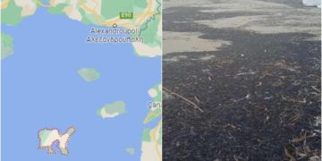 Αποκαΐδια από τα καμένα του Έβρου ξεβράστηκαν στη Λήμνο