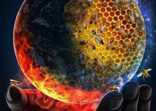 Σουφλί: Συνέλευση του Μελισσοκομικού Συλλόγου Κεντρικού Έβρου για τις πυρκαγιές