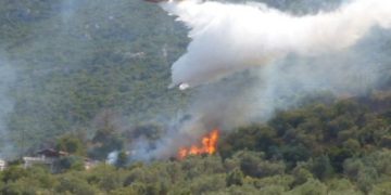 Συνεχίζεται για 16η μέρα η πυρκαγιά στον Έβρο: Προβατώνας και Λευκίμη στο επίκεντρο