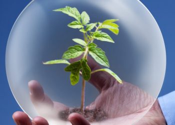 Στις Γιορτές στα Ψαροχώρια μας καλεί η Δημοσυνεταιριστική Έβρος ΑΕ