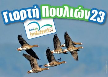 Ευρωπαϊκή Γιορτή των Πουλιών (Eurobirdwatch)
