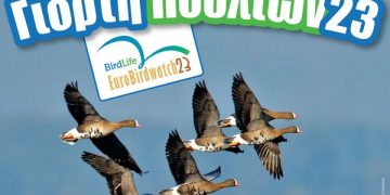Ευρωπαϊκή Γιορτή των Πουλιών (Eurobirdwatch)