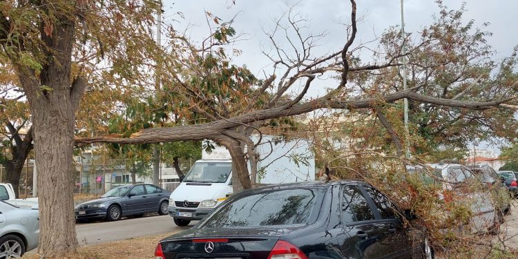 42 κλήσεις δέχτηκαν οι πυροσβεστικές υπηρεσίες του Έβρου  στη διάρκεια της κακοκαιρίας