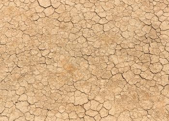 Με κατά τόπους ακραίες συνθήκες ξηρασίας ο Έβρος