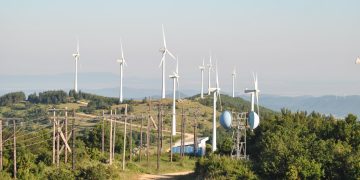 Ακόμη χωρίς μέτρα προστασίας, τα καμένα οικοσυστήματα στον Έβρο