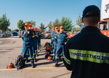 Αλεξανδρούπολη: Έρχονται προσλήψεις σε Δασικές Επιχειρήσεις Ε.ΜΟ.ΔΕ.