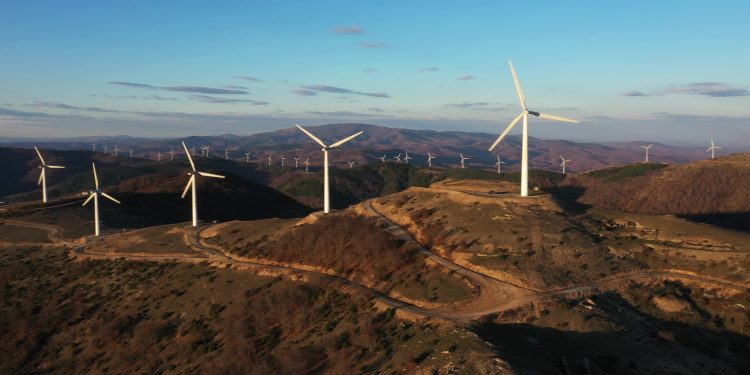 Ακόμη χωρίς μέτρα προστασίας, τα καμένα οικοσυστήματα στον Έβρο