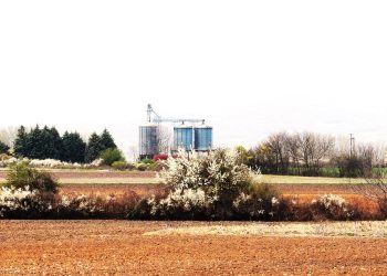 Ορεστιάδα: Ημερίδα ενημέρωσης των αγροτών για τις εξελίξεις στον αγροτικό τομέα