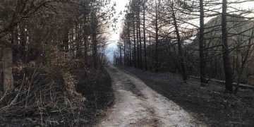 Ειδική Επιτροπή Ανασυγκρότησης του Έβρου: Η 3η συνάντηση σήμερα στη Δαδιά