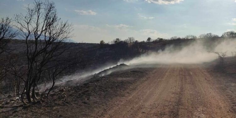 Αλεξανδρούπολη: Προσωρινή απαγόρευση κυκλοφορίας λόγω έντονων καιρικών φαινομένων στην παραλιακή οδό Δικέλλων-Μεσημβρίας