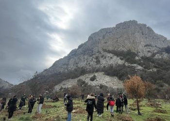 Άβαντας: 130 δενδρύλλια φυτεύθηκαν για τα 130 χρόνια λειτουργίας του Ζωγράφειου Λυκείου Κων/πόλεως