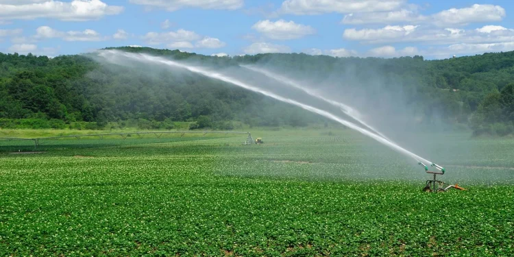 Ομοσπονδία Αγροτικών Συλλόγων Έβρου “Η Ενότητα”: Εκφράζουν ανησυχίες για την άρδευση των χωραφιών τους