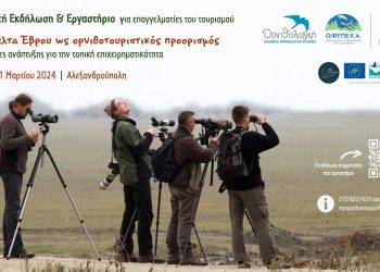 Το Δέλτα του Έβρου ως Ορνιθοτουριστικός προορισμός | 20 & 21 Μαρτίου