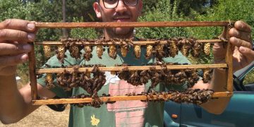 Και ο πρόεδρος του Μελισσοκομικού Σύλλόγου Κεντρικού Έβρου στη σημερινή συνάντηση με τον πρωθυπουργό