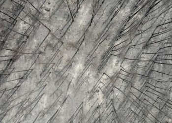 “Έβρος 17 μέρες μετά”: Ντοκιμαντέρ γυρισμένο με drone, του φωτορεπόρτερ Σ. Γιούμπαση