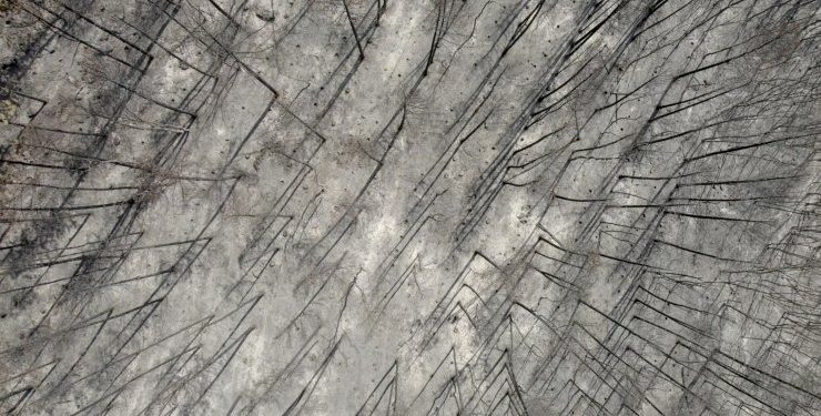 “Έβρος 17 μέρες μετά”: Ντοκιμαντέρ γυρισμένο με drone, του φωτορεπόρτερ Σ. Γιούμπαση
