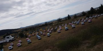 Μέσα από τις στάχτες του Έβρου αναγεννήθηκε το πολυβραβευμένο μέλι του Αλεξανδρουπολίτη Γ.Καραφυλλίδη