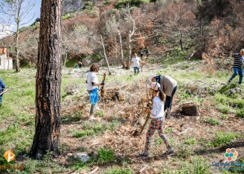 Συμμετοχή της AKRITAS σε εθελοντικό καθαρισμό στον Αβαντα από το “Lets Do it Greece”
