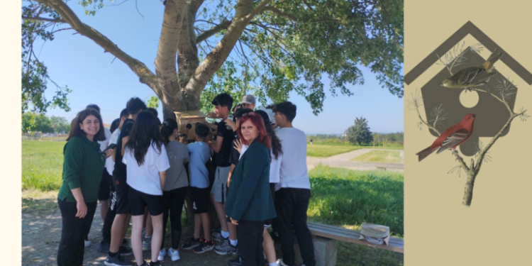 Μία ακόμη φωλιά για τα πουλιά στο πάρκο της Δαδιάς