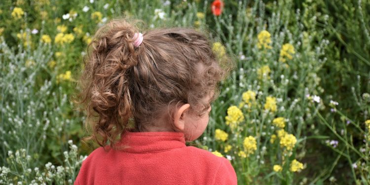 Ορεστιάδα: Καταδικάστηκε 74χρονος για ασέλγεια σε βάρος ανήλικης