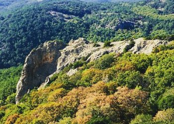 Εργα Αντιπυρικής Προστασίας στο Δασαρχείο Διδυμοτείχου, ύψους 7 εκατ. ευρώ
