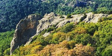 Εργα Αντιπυρικής Προστασίας στο Δασαρχείο Διδυμοτείχου, ύψους 7 εκατ. ευρώ