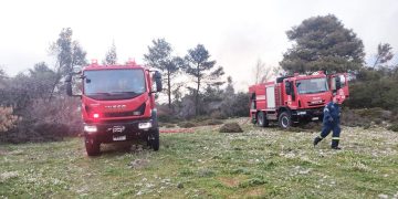 Έκτακτο: Μεγάλη φωτιά στη βιομηχανία επεξεργασίας ξύλου ΑΚΡΙΤΑΣ