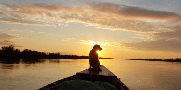 Thessaly Evros Pass: Πώς θα χρησιμοποιούν τις ψηφιακές κάρτες οι δικαιούχοι