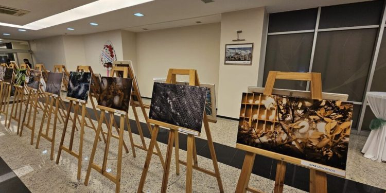 Έκθεση μεταξωτών από το Σουφλί στην Αδριανούπολη