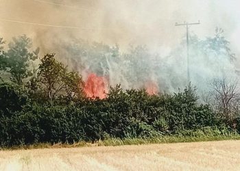 Συναγερμός για φωτιά στο Σουφλί