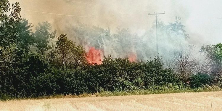 Συναγερμός για φωτιά στο Σουφλί