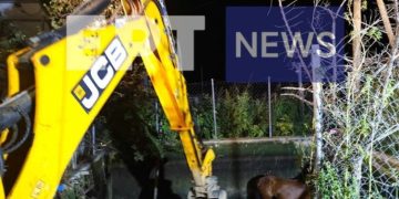 Ροδόπη: Πυροσβέστες και εθελοντές διέσωσαν άγριο άλογο που έπεσε σε δεξαμενή άρδευσης