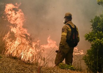 Σουφλί: Υπό μερικό έλεγχο η πυρκαγιά κοντά στη Ρούσσα – Κάηκαν 40 στρέμματα δρυοδάσους