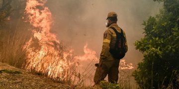 Σουφλί: Υπό μερικό έλεγχο η πυρκαγιά κοντά στη Ρούσσα – Κάηκαν 40 στρέμματα δρυοδάσους