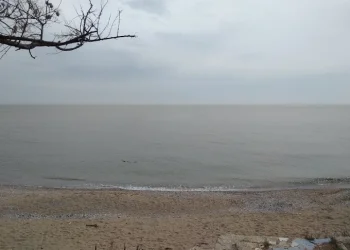 Λαϊκή Συσπείρωση Αλεξανδρούπολης: Τουλάχιστον εντυπωσιακή η σιγή από τη δημοτική αρχή, όσον αφορά την απαγόρευση κολύμβησης