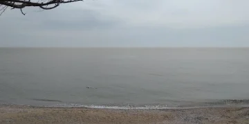 Λαϊκή Συσπείρωση Αλεξανδρούπολης: Τουλάχιστον εντυπωσιακή η σιγή από τη δημοτική αρχή, όσον αφορά την απαγόρευση κολύμβησης