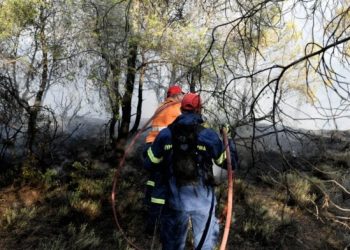 “Καμπάνα” στον υπεύθυνο που προκάλεσε την επικίνδυνη πυρκαγιά στην Κυριακή Σουφλίου