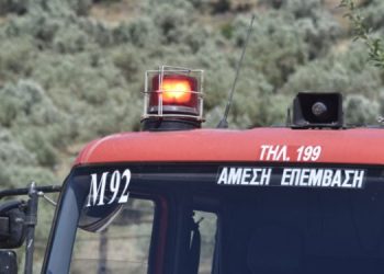 Νέα πυρκαγιά σε δασική έκταση στη Ρούσσα Σουφλίου