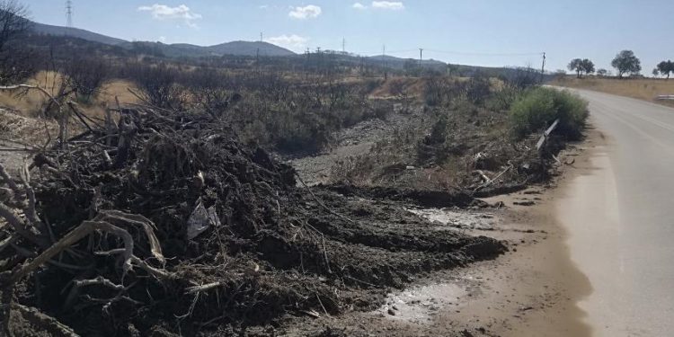 Τ.Ε.Έβρου του ΚΚΕ: Περιοδεία σε πληγείσες από τη βροχόπτωση περιοχές του δήμου Αλεξανδρούπολης