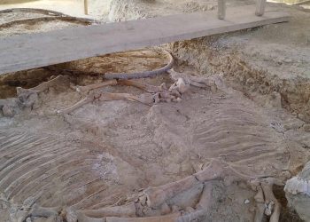 Επίσκεψη του Περιφερειάρχη ΑΜΘ και της Υπουργού Πολιτισμού κ. Λίνας Μενδώνη στον Ταφικό Τύμβο Μ. Δοξιπάρας – Ζώνης