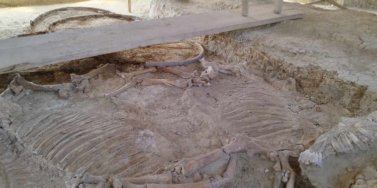 Επίσκεψη του Περιφερειάρχη ΑΜΘ και της Υπουργού Πολιτισμού κ. Λίνας Μενδώνη στον Ταφικό Τύμβο Μ. Δοξιπάρας – Ζώνης