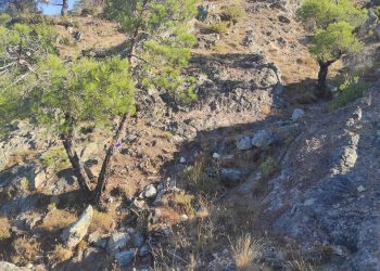 Αγώνες Βουνού Δαδιάς στο δήμο Σουφλίου