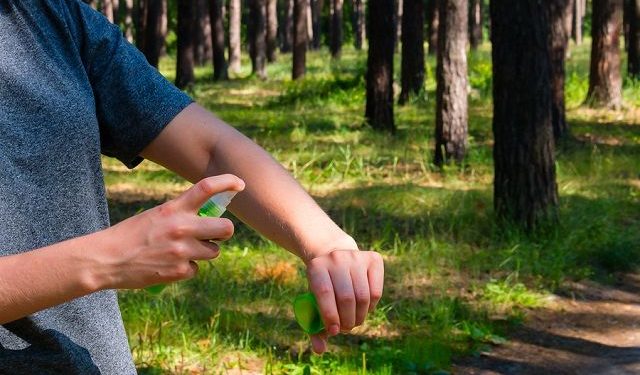 Και στη Θράκη ο ιός του Δυτικού Νείλου – 65χρονος νοσηλεύεται σε κρίσιμη κατάσταση