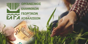 ΕΛΓΑ: Αύριο Τρίτη η πληρωμή αποζημιώσεων – Οι δικαιούχοι