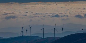 Όσο αυξάνονται οι ανεμογεννήτριες αυξάνεται ο κίνδυνος να εξαφανιστεί ο Μαυρόγυπας & το Όρνιο στη Θράκη
