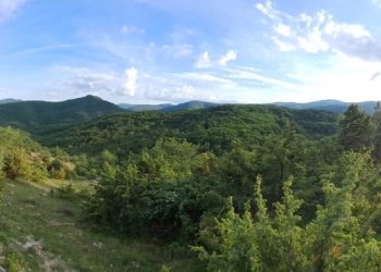 ΕΠΒΘ: Καταγράφοντας τα σπάνια αρπακτικά πουλιά στην Κοιλάδα Δερείου