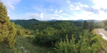 ΕΠΒΘ: Καταγράφοντας τα σπάνια αρπακτικά πουλιά στην Κοιλάδα Δερείου