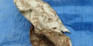 Τέμπη: Φωτογραφίες ντοκουμέντο από βιολογικό υλικό και προσωπικά αντικείμενα που βρέθηκαν στο ιδιωτικό οικόπεδο