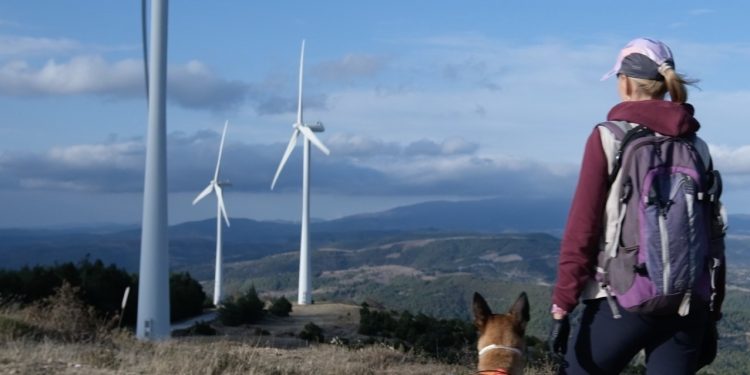 Μελέτη για τα θύματα των αιολικών πάρκων στη Θράκη με τη βοήθεια εκπαιδευμένων σκύλων