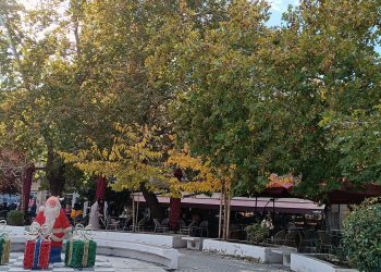 Το πράσινο της Κομοτηνής και η κακομεταχείριση των δέντρων στην Αλεξανδρούπολη